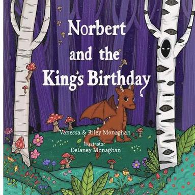 bokomslag Norbert and the King's Birthday