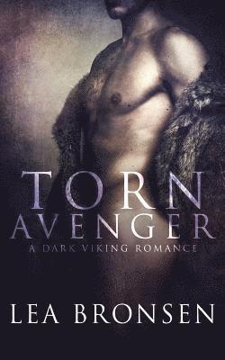 Torn Avenger 1