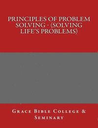 bokomslag Principles of Problem Solving - (Solving Life's Problems)