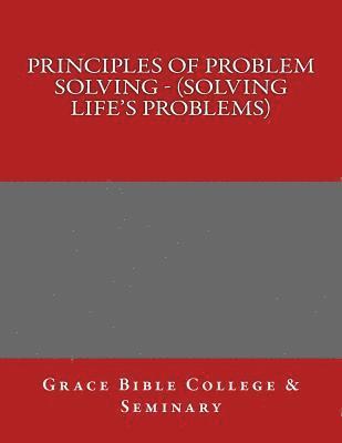 bokomslag Principles of Problem Solving - (Solving Life's Problems)