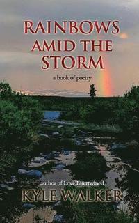 bokomslag Rainbows Amid The Storm: A Book of Poetry