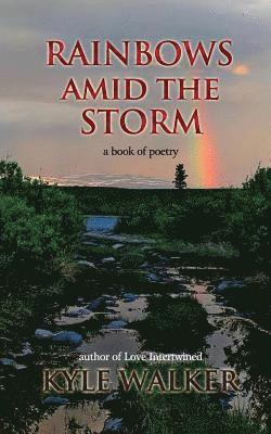Rainbows Amid The Storm: A Book of Poetry 1