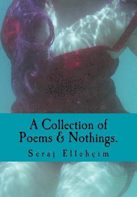 Seraj Ellehçim - A Collection of Poems & Nothings.: A Collection Of Poems, Nothings, and Short Stories. Mix Matched with Illustrations., Häftad