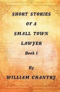 bokomslag Short Stories of a Small Town Lawyer, Book 1