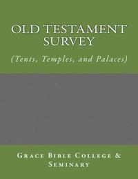 bokomslag Old Testament Survey - (Tents, Temples, and Palaces)