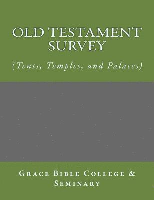 bokomslag Old Testament Survey - (Tents, Temples, and Palaces)