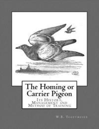 bokomslag The Homing or Carrier Pigeon: Its History, Management and Method of Training