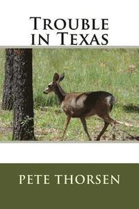 bokomslag Trouble in Texas