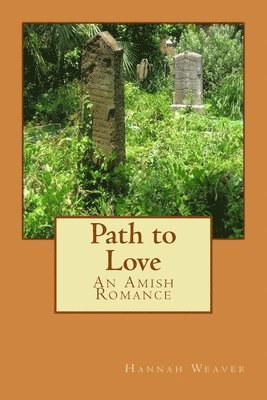 Hannah Weaver - Path to Love: An Amish Romance, Häftad