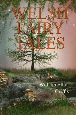 Welsh Fairy Tales 1