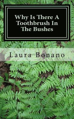 Why Is There A Toothbrush In The Bushes: And Other Little Life Mysteries 1