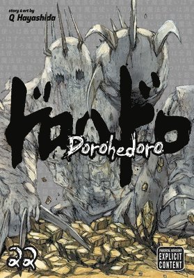 bokomslag Dorohedoro, Vol. 22
