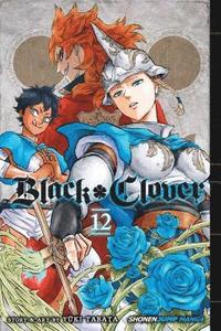 bokomslag Black Clover, Vol. 12: Volume 12