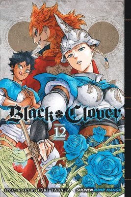 bokomslag Black Clover, Vol. 12