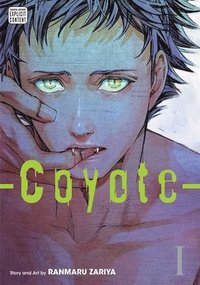 bokomslag Coyote, Vol. 1: Volume 1