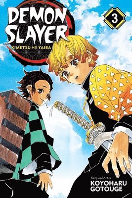 bokomslag Demon Slayer: Kimetsu no Yaiba, Vol. 3