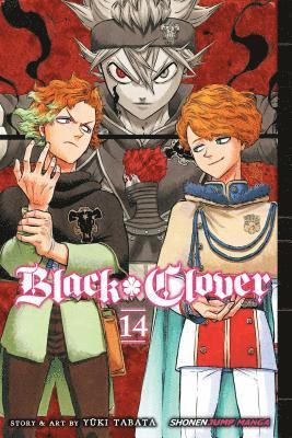 bokomslag Black Clover, Vol. 14