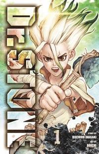 bokomslag Dr. STONE, Vol. 1: Volume 1