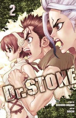 bokomslag Dr. STONE, Vol. 2