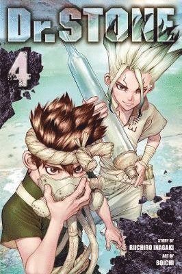 bokomslag Dr. STONE, Vol. 4