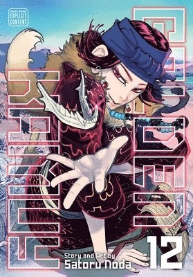 bokomslag Golden Kamuy, Vol. 12