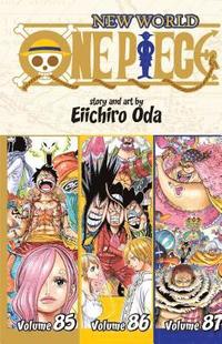 bokomslag One Piece (Omnibus Edition), Vol. 29: Volume 29