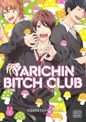 Ogeretsu Tanaka - Yarichin Bitch Club, Vol. 1, Häftad