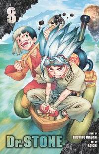 bokomslag Dr. STONE, Vol. 8: Volume 8