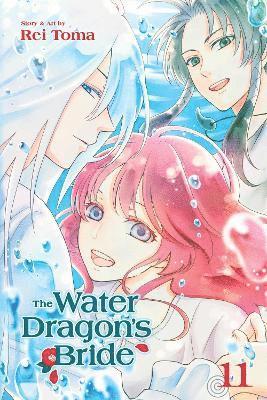 bokomslag The Water Dragon's Bride, Vol. 11: Volume 11