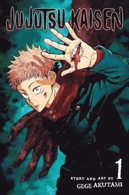 bokomslag Jujutsu Kaisen, Vol. 1