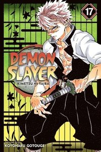 bokomslag Demon Slayer: Kimetsu no Yaiba, Vol. 17