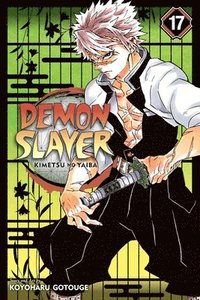 bokomslag Demon Slayer: Kimetsu no Yaiba, Vol. 17: Volume 17