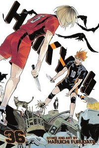 bokomslag Haikyu!!, Vol. 36