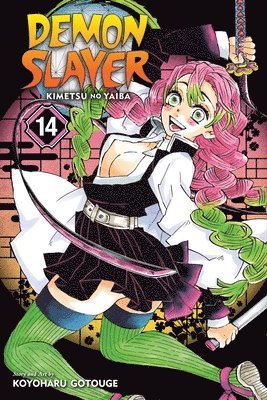 Koyoharu Gotouge - Demon Slayer: Kimetsu no Yaiba, Vol. 14, Häftad