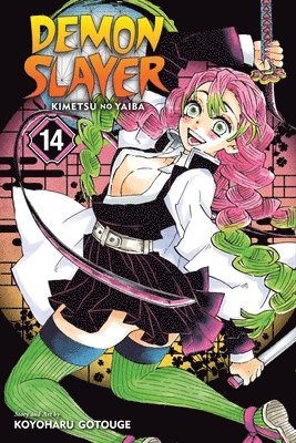 bokomslag Demon Slayer: Kimetsu no Yaiba, Vol. 14