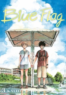 bokomslag Blue Flag, Vol. 3: Volume 3