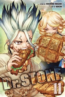 bokomslag Dr. STONE, Vol. 11