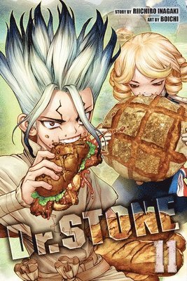 Riichiro Inagaki - Dr. STONE, Vol. 11, Häftad