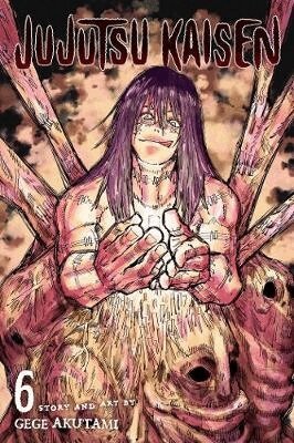 Gege Akutami - Jujutsu Kaisen, Vol. 6, Häftad