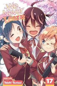 bokomslag We Never Learn, Vol. 17: Volume 17