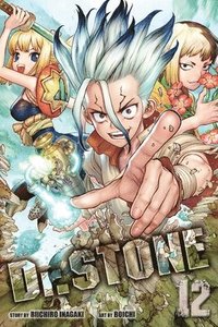 bokomslag Dr. STONE, Vol. 12: Volume 12