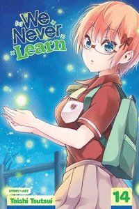 bokomslag We Never Learn, Vol. 14: Volume 14