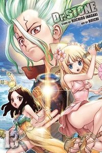 bokomslag Dr. STONE, Vol. 13