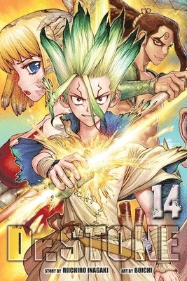 bokomslag Dr. STONE, Vol. 14