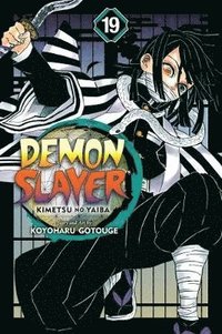 bokomslag Demon Slayer: Kimetsu no Yaiba, Vol. 19: Volume 19