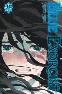 bokomslag Blue Exorcist, Vol. 25