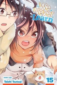 bokomslag We Never Learn, Vol. 15