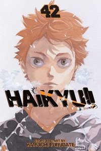 bokomslag Haikyu!!, Vol. 42: Volume 42