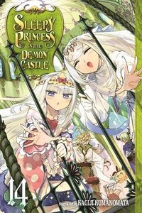 bokomslag Sleepy Princess in the Demon Castle, Vol. 14
