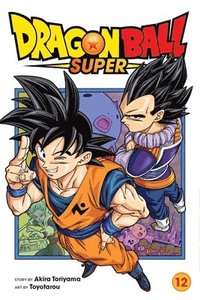bokomslag Dragon Ball Super, Vol. 12